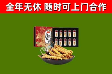 凉州回收冬虫夏草价格